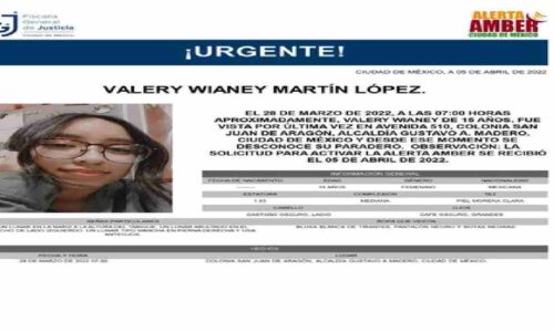 Alerta Amber: Valery desapareció en la GAM
