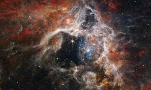 Telescopio Webb de la NASA capta una tarántula cósmica