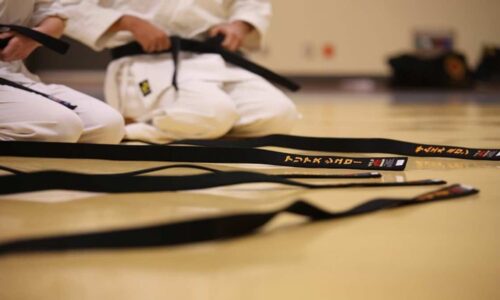 Día Mundial del Karate: dónde tomar clases gratis en la CDMX