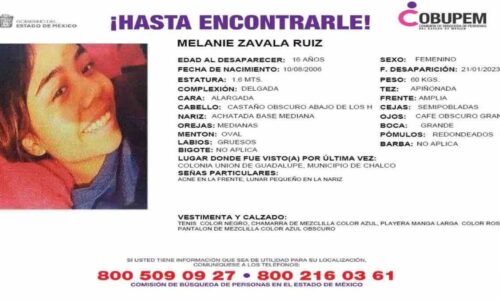 Caso Melanie Zavala: La joven desapareció en Chalco al salir a pasear a su perrita